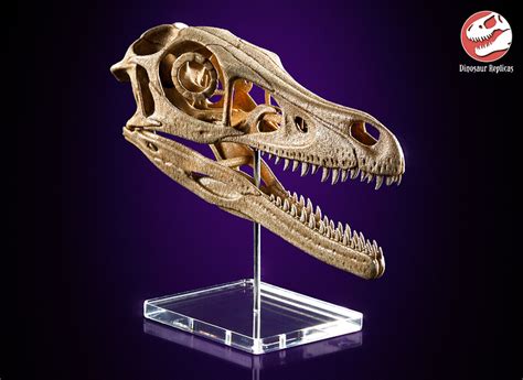 Replica Velociraptor skull - 3D print photography - Finished Projects ...