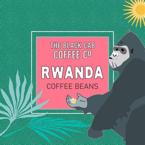 Rwanda Coffee Beans - The Black Cab Coffee Co