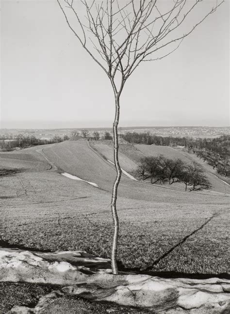 NOMA EXHIBITIONS EXPLORE OBSTRUCTION IN PHOTOGRAPHY - New Orleans ...