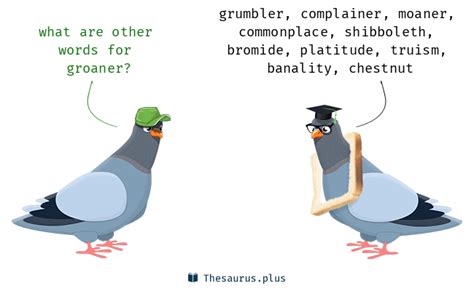 Groaner Synonyms and Groaner Antonyms. Similar and opposite words for Groaner in Thesaurus.plus ...