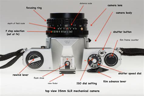 Shoot your first roll of film – Photography: What, How, Why