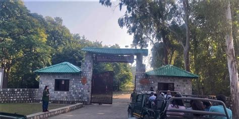 Rajaji National Park | Full Travel Guide | Location, Best time to visit ...