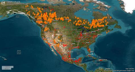 2023 Forest Fires: Burning Records – BEDI Studios