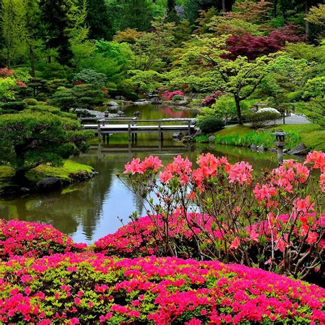 Вашингтонский парк Арборетум /Washington Park Arboretum and Japanese ...