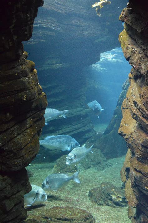 Underwater Rock Formations