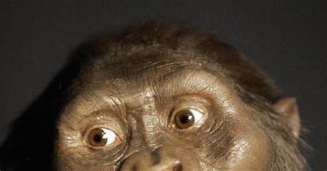 There's a new theory on what killed famous human ancestor Lucy - CBS News