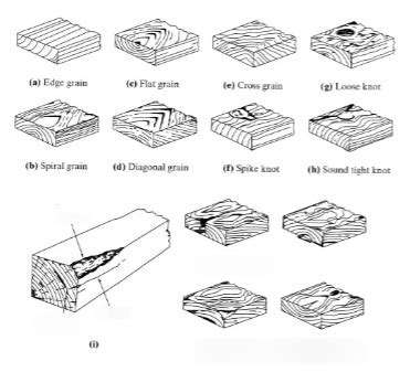 (15) Common Defects in Wood Diagram | Quizlet