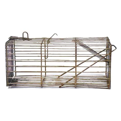 Golden Polished Mild Steel Mouse Trap Cage at Best Price in Ghaziabad | Anmol Industries