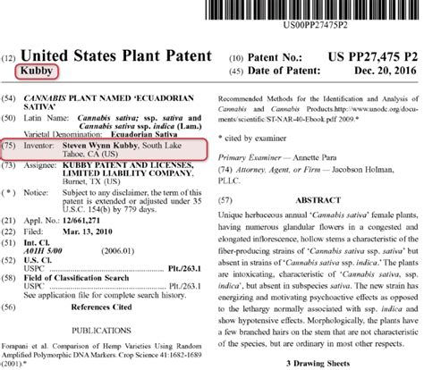 How To File A Plant Patent In 5 Steps - Bold Patents