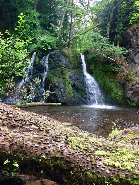 Glen Affric & Loch Ness | Wandern Schottland