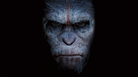 Caesar Dawn Of The Planet Of The Apes Wallpaper