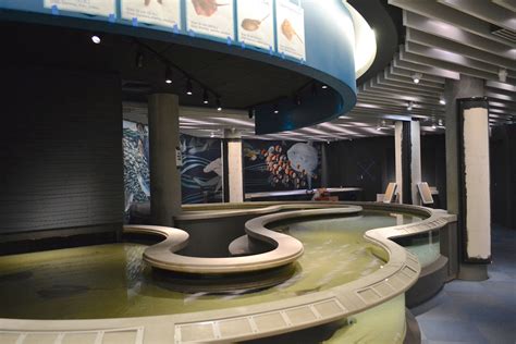 @Baltimore National Aquarium’s Newest exhibit Living Seashore