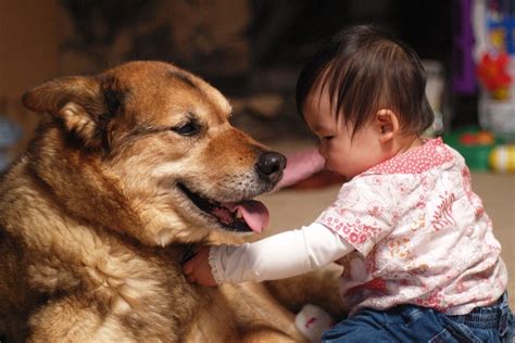 Kids and Pets: What’s the Ideal Pet for Your Family + Must-See Adorable Photos of Children and ...