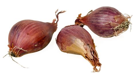 File:Shallots-Whole.jpg - Wikimedia Commons