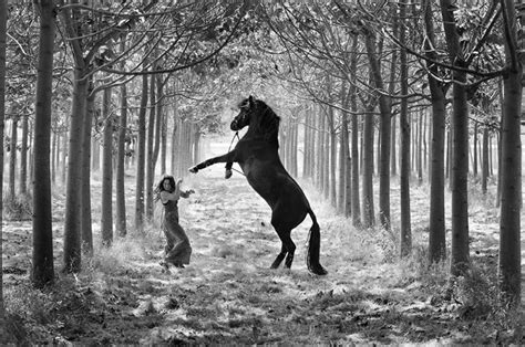 horse ride | Action photography, Horses, Photography gallery