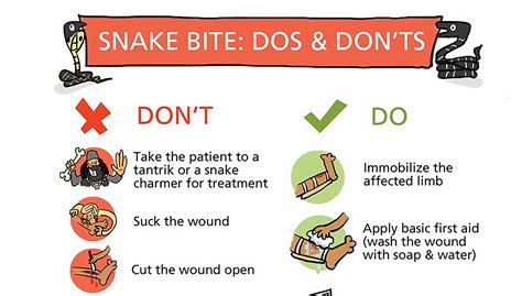 Infographic: Snake Bite First Aid | RECOIL OFFGRID