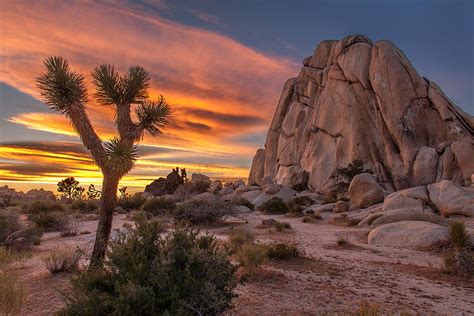 Hidden Valley Rock - Joshua Tree Photograph by Peter Tellone