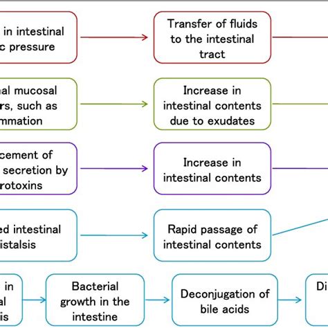 Pathophysiology Of Diarrhea