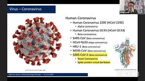 Struktur Dan Gambar Virus Corona Serta Jenis Virusnya - Riset