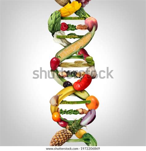 19,149 Dna And Food Images, Stock Photos & Vectors | Shutterstock