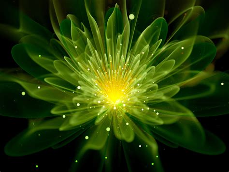 What Makes Plants Glow: Information About Glowing Plants