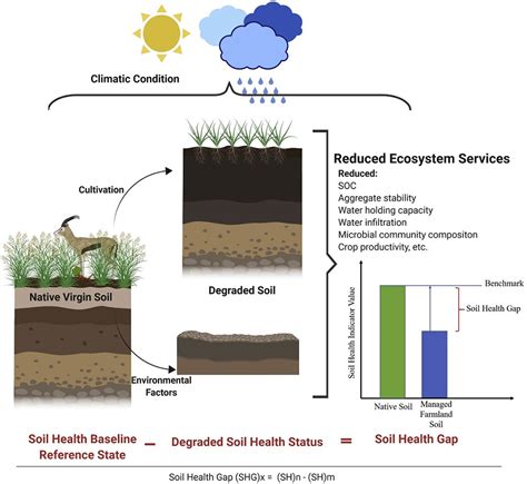 Cropland Reference Ecological Unit — A Land Classification Unit for ...