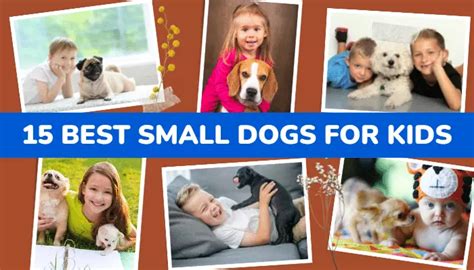 Top 15 Small Dog Breeds For Kids | Adorable Small Dogs For Babies!