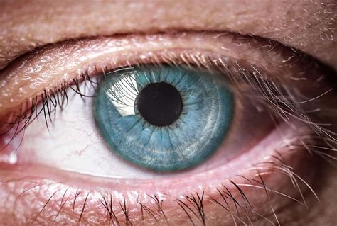 Eye Diseases: 10 Common Eye Diseases