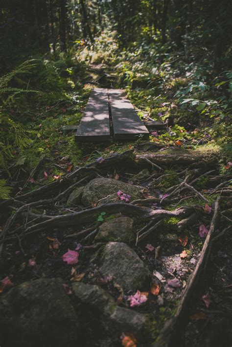 Hiking in the Green Mountain National Forest. : r/CampingandHiking