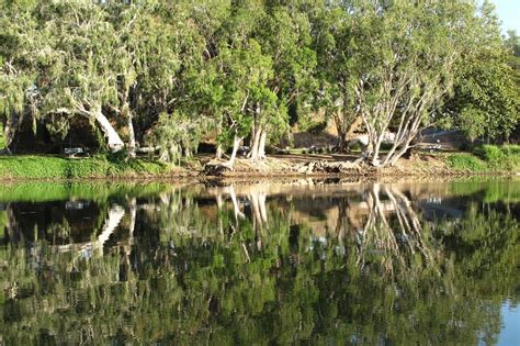 Home - North Queensland Tours