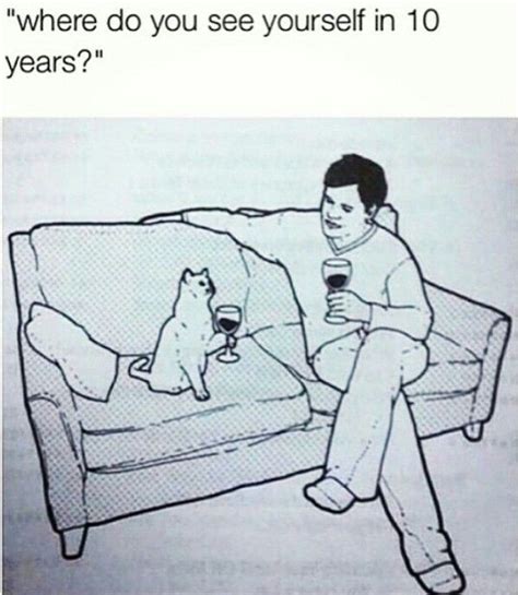 On your couch.... drinking wine... with your cat? Probably. | Memes, Funny animals, Crazy cats