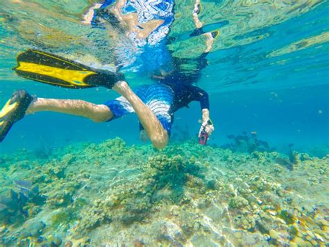 17 Top Spots for Snorkeling in Florida - American Oceans