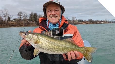 How to Catch Walleye in the Niagara River: Using Flexi Jigs ...