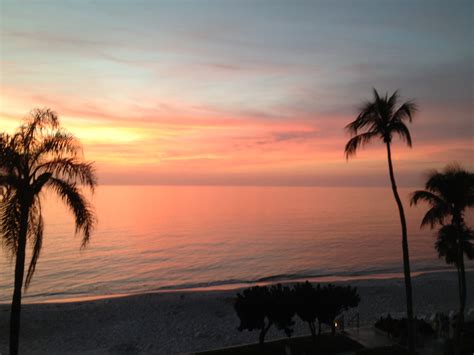 palm trees line the beach as the sun sets