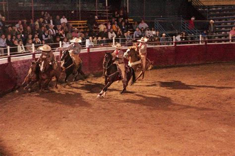 Rodeo | Corona Ranch