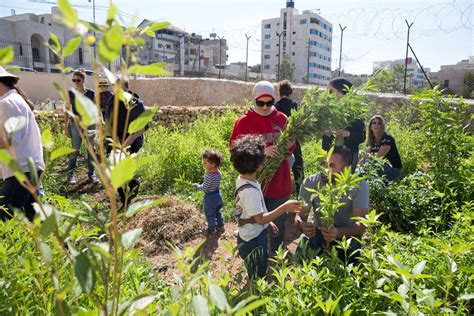 At a Cultural Hub in Bethlehem, Art Thrives in the Fray - The New York ...