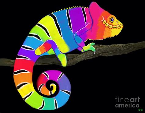 Colorful Chameleon Drawing