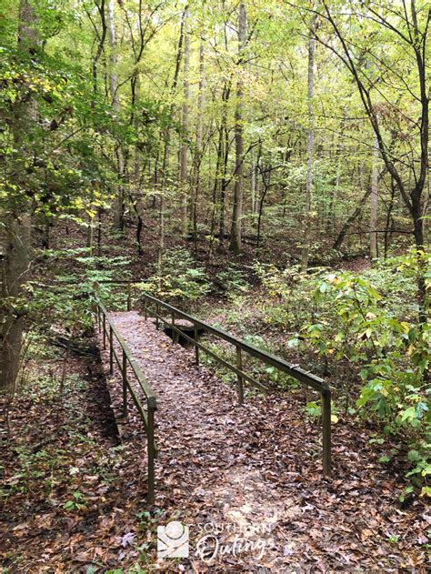 A hiker’s guide to the trails at Lake Guntersville State Park ...