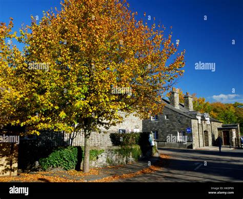 Autumn colours by Tavistock Wharf, Tavistock, Devon Stock Photo - Alamy