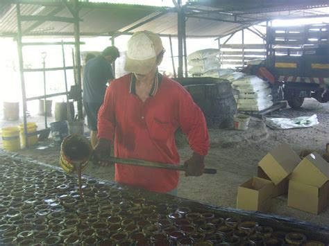 LEBAH DAN KELULUT: KILANG MEMPROSES GULA DI SEMERAH BATU PAHAT JOHOR