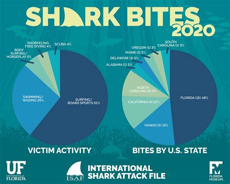 Few shark attacks in 2020, but fatalities spikes