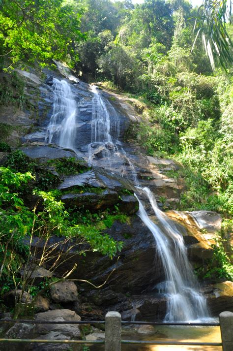 TIJUCA FOREST - AN URBAN FOREST IN THE HEART OF RIO! - Free Walker Tours