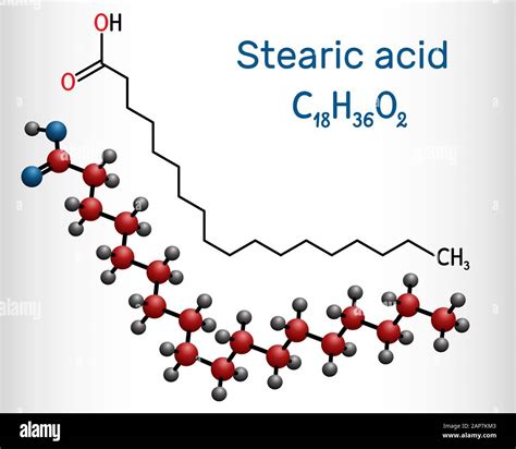 Stearic acid structure hi-res stock photography and images - Alamy