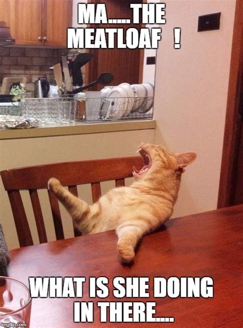 Ma the meatloaf cat Memes - Imgflip