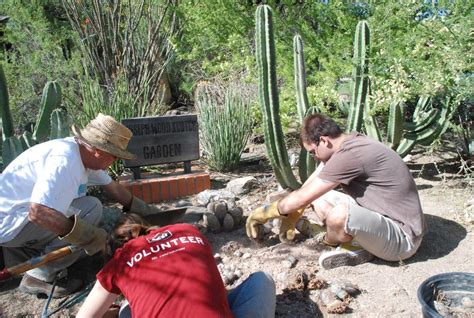 Tucson Cactus and Succulent Society Restores the Krutch Garden | University of Arizona Campus ...