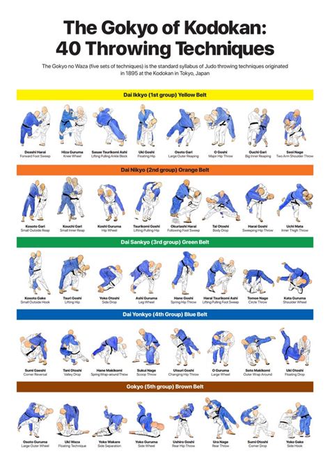 Judo Throws Poster : r/judo