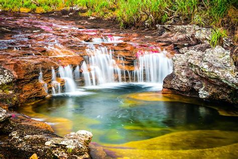 Caño Cristales: The Best Time to Visit Colombia's Rainbow River