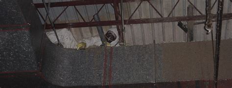 Mold Remediation Services - Chicago, IL – Colfax Corporation