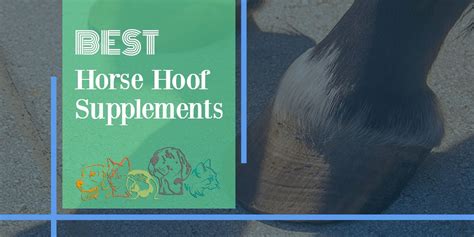 The 5 Best Horse Supplement Options [2021 Review]