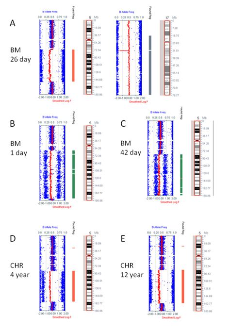 Examples of SNP array images. A. From bone marrow (BM) refrigerated for... | Download Scientific ...